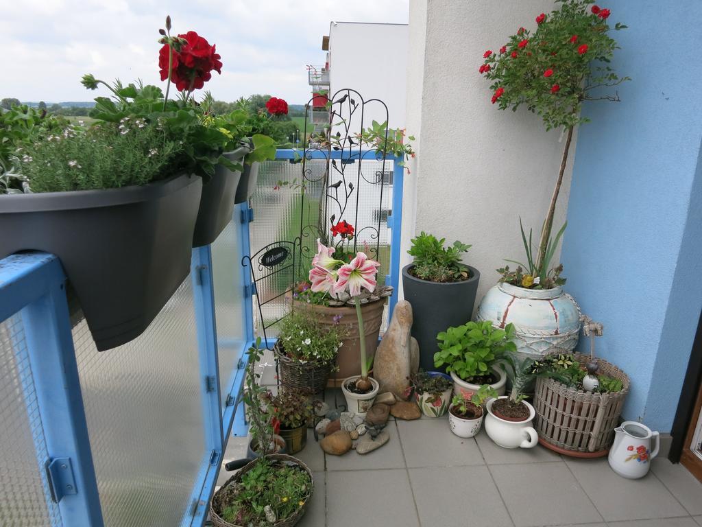 Homestay Подебрады Экстерьер фото